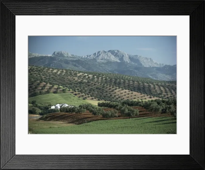 Framed Print : Landscape near Malaga Framed Print : Landscape near Malaga