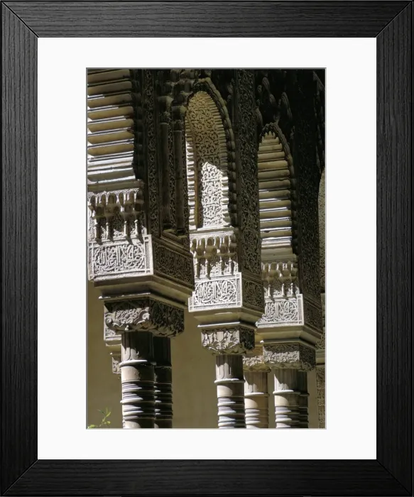Framed Print : Detail, Court of the Lions Framed Print : Detail, Court of the Lions