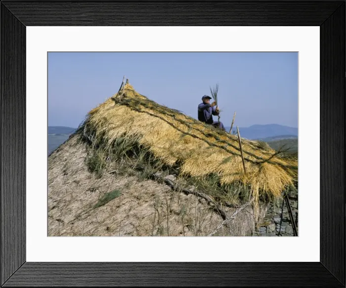 Framed Print : Thatching a roof, Cebreiro, Way of St Framed Print : Thatching a roof, Cebreiro, Way of St