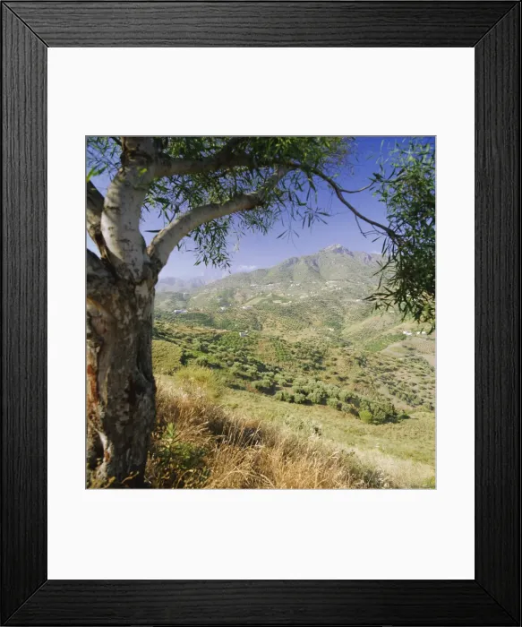 Framed Print : Landscape near Frigliana Framed Print : Landscape near Frigliana