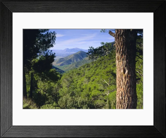 Framed Print : Sierra de Espuna Framed Print : Sierra de Espuna