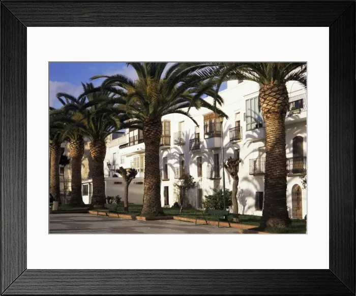 Framed Print : Spanish architecture and palm trees Framed Print : Spanish architecture and palm trees