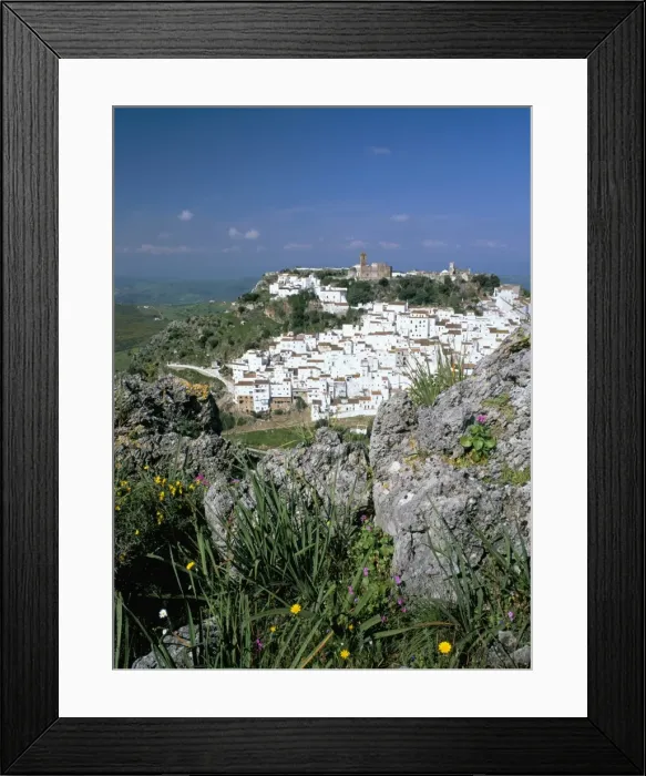 Framed Print : Wild flowers and white village with Moorish castle Framed Print : Wild flowers and white village with Moorish castle