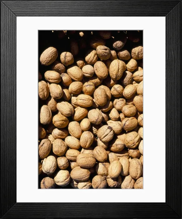 Framed Print : Walnuts Framed Print : Walnuts
