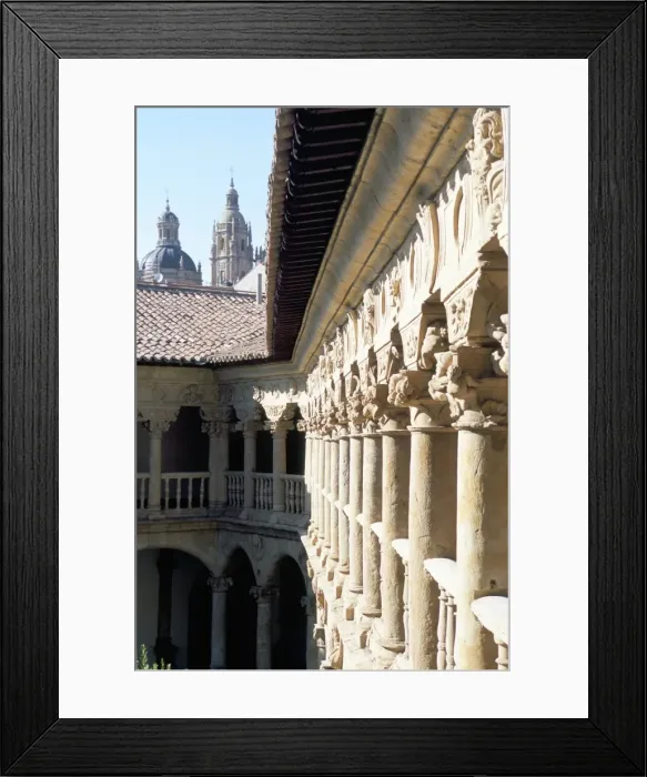 Framed Print : Fine cloisters of the Convento de las Duenas Framed Print : Fine cloisters of the Convento de las Duenas