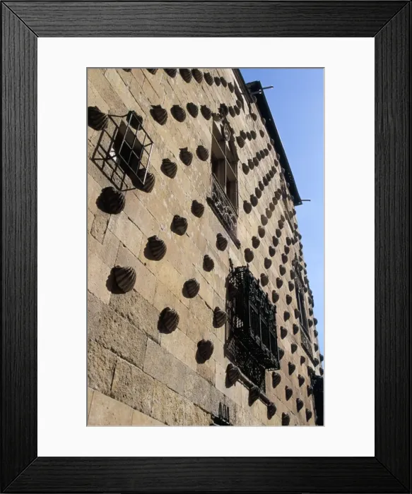 Framed Print : Casa de las Conchas (House of Shells) Framed Print : Casa de las Conchas (House of Shells)