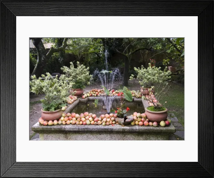 Framed Print : Fountain with apples Framed Print : Fountain with apples