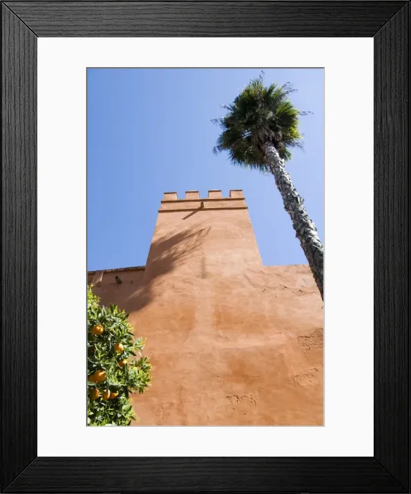 Framed Print : The gardens of the Real Alcazar Framed Print : The gardens of the Real Alcazar