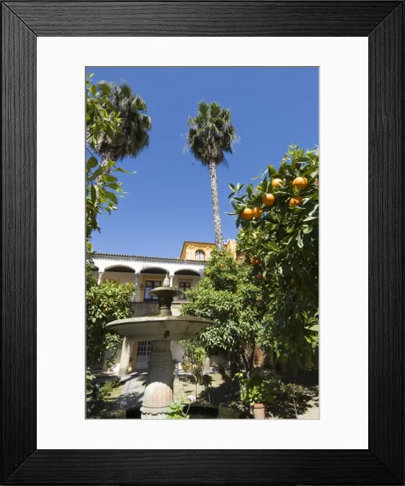 Framed Print : The gardens of the Real Alcazar Framed Print : The gardens of the Real Alcazar