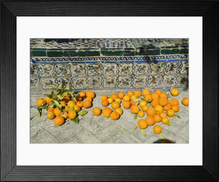 Framed Print : Ripe oranges removed from trees in the gardens of the Real Alcazar Framed Print : Ripe oranges removed from trees in the gardens of the Real Alcazar