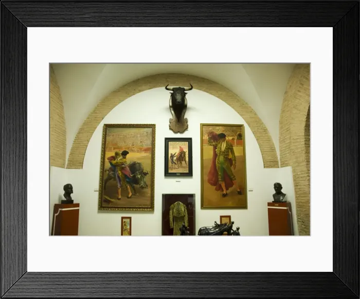 Framed Print : Museum in the Bull Ring Framed Print : Museum in the Bull Ring