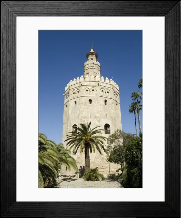 Framed Print : Torre del Oro Framed Print : Torre del Oro