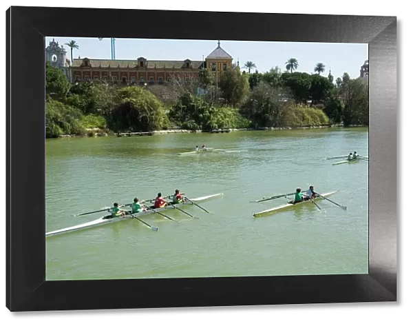 Rowing on the river Rio Guadalquivir