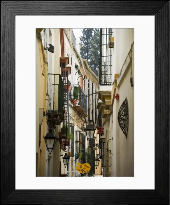 Framed Print : Santa Cruz district
