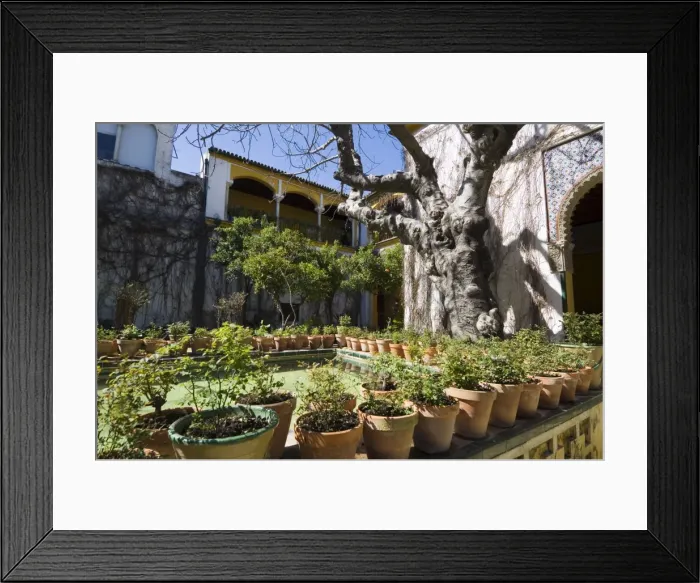 Framed Print : Gardens in the Casa de Pilatos Framed Print : Gardens in the Casa de Pilatos