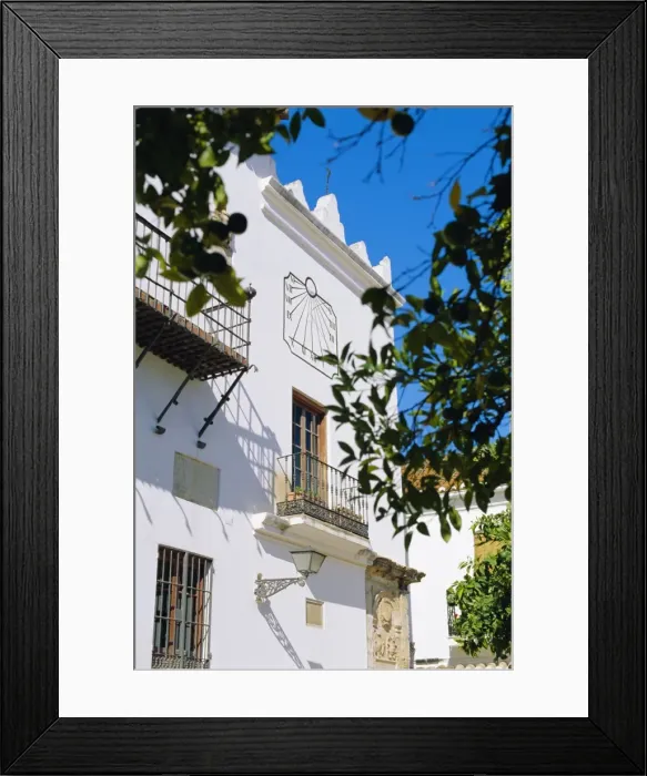 Framed Print : Plaza de los Naranjos Framed Print : Plaza de los Naranjos