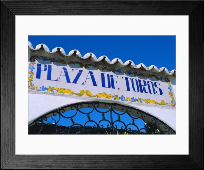 Framed Print : Gate to the bullring