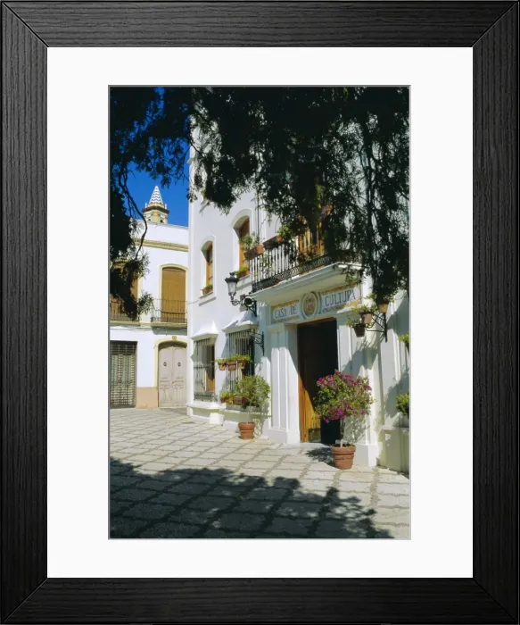 Framed Print : Plaza las Flores Framed Print : Plaza las Flores
