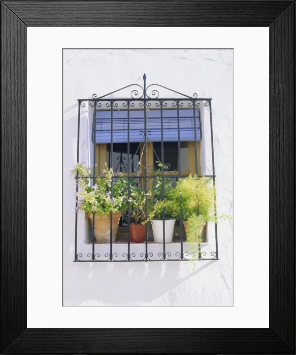 Framed Print : Window and flower pots Framed Print : Window and flower pots