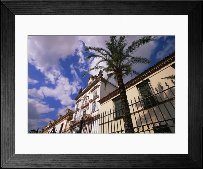 Framed Print : Hospital de la Caridad Framed Print : Hospital de la Caridad