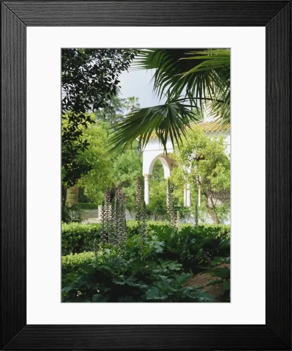 Framed Print : The gardens from the palace wall Framed Print : The gardens from the palace wall
