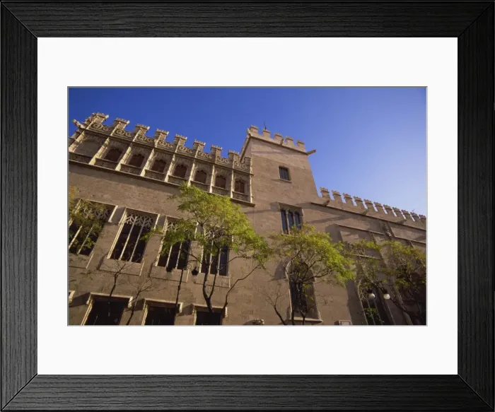 Framed Print : Exterior of La Lonja de la Seda (Silk Exchange) Framed Print : Exterior of La Lonja de la Seda (Silk Exchange)