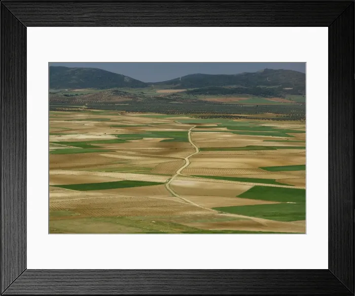 Framed Print : View from Windmill Hill Framed Print : View from Windmill Hill