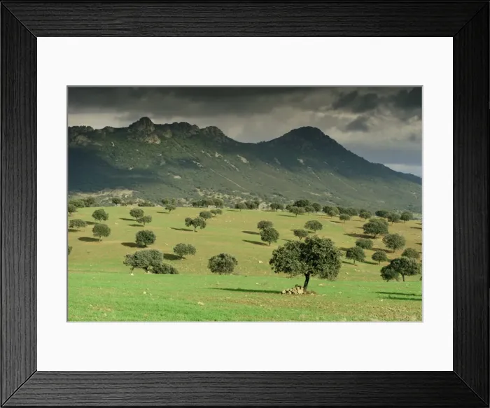 Framed Print : Landscape near Guadalupe Framed Print : Landscape near Guadalupe