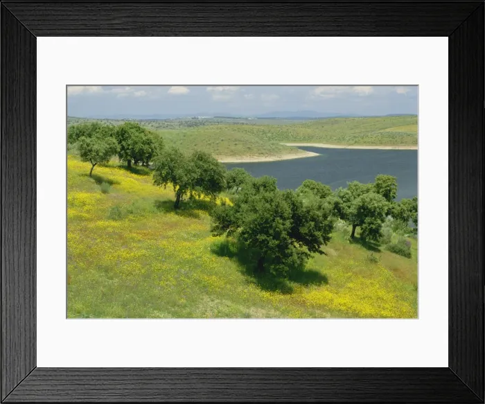 Framed Print : Landscape of fields Framed Print : Landscape of fields