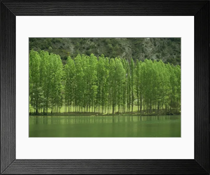Framed Print : Landscape of trees and river in the Bidasoa Valley Framed Print : Landscape of trees and river in the Bidasoa Valley