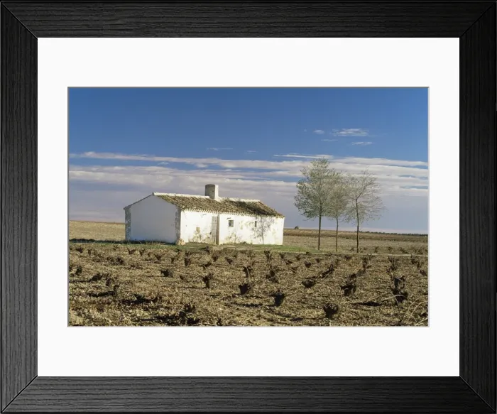 Framed Print : Farmhouse near Valdepenas Framed Print : Farmhouse near Valdepenas