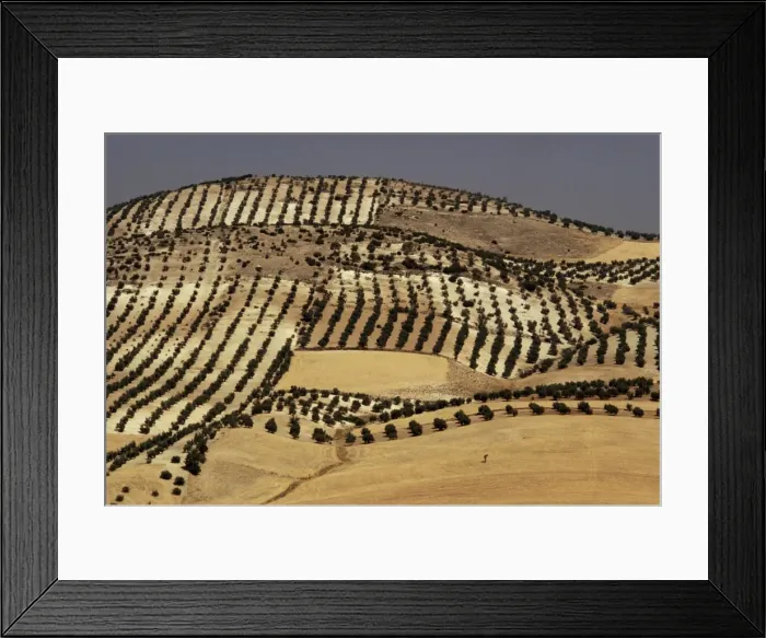 Framed Print : Landscape near Jaen Framed Print : Landscape near Jaen