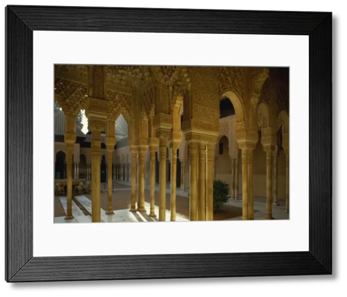 Framed Print : The Court of the Lions in the Alhambra Palace in Granada Framed Print : The Court of the Lions in the Alhambra Palace in Granada