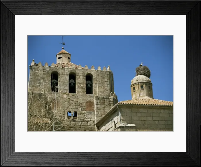 Framed Print : Storks nest Framed Print : Storks nest