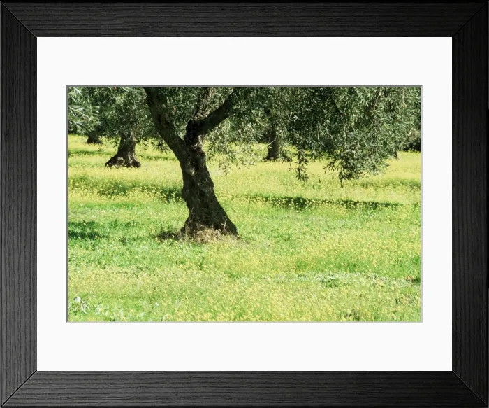Framed Print : Landscape near Trujillo Framed Print : Landscape near Trujillo