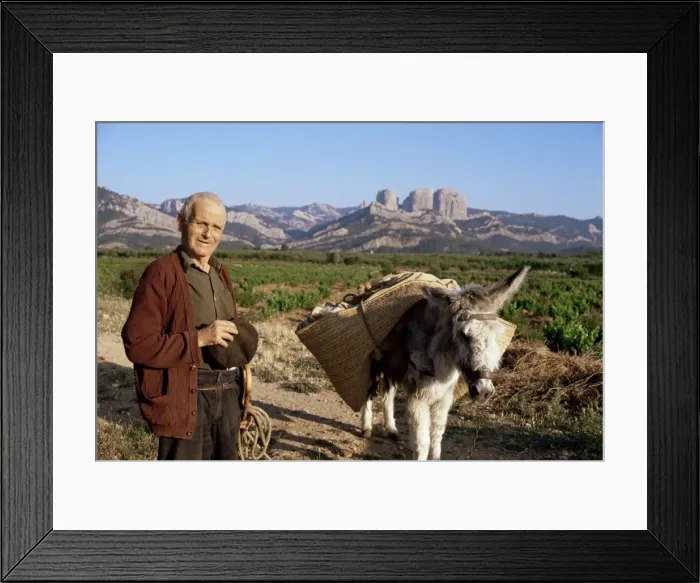 Framed Print : Man and donkey Framed Print : Man and donkey