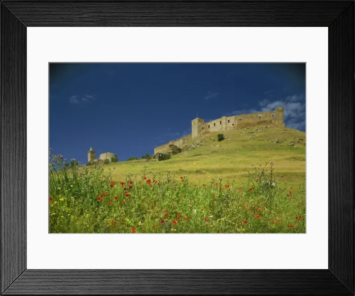 Framed Print : Wild flowers in front of the Castle of Medallin in Extremadura Framed Print : Wild flowers in front of the Castle of Medallin in Extremadura