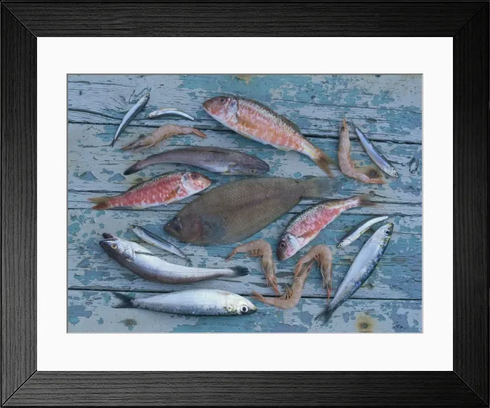 Framed Print : High angle view of still life of a selection of fish Framed Print : High angle view of still life of a selection of fish