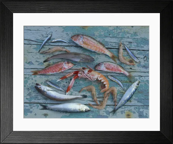 Framed Print : Overhead view of a selection of fish Framed Print : Overhead view of a selection of fish