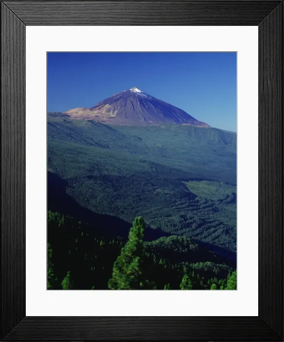 Framed Print : Peak of Mount Teide and pine trees from Mirador Ortuno Framed Print : Peak of Mount Teide and pine trees from Mirador Ortuno