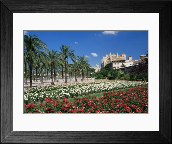 Framed Print : Palma cathedral and gardens of Parc de la Mar square Framed Print : Palma cathedral and gardens of Parc de la Mar square