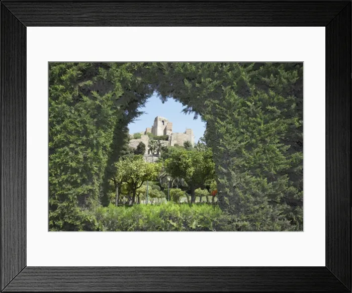 Framed Print : Castillo de Gibralfaro (Gibralfaro castle) Framed Print : Castillo de Gibralfaro (Gibralfaro castle)