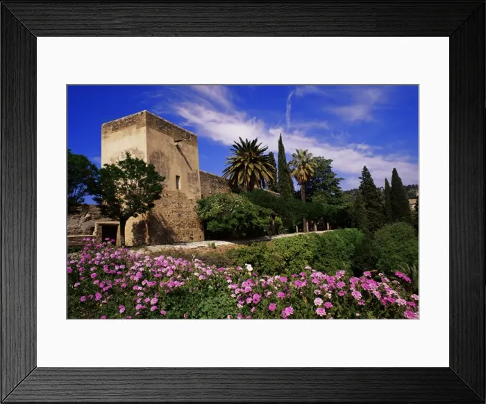 Framed Print : Torre de La Sultana and spring flowers Framed Print : Torre de La Sultana and spring flowers