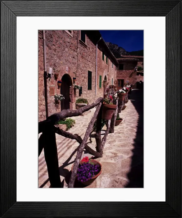 Framed Print : Plant pots outside houses Framed Print : Plant pots outside houses