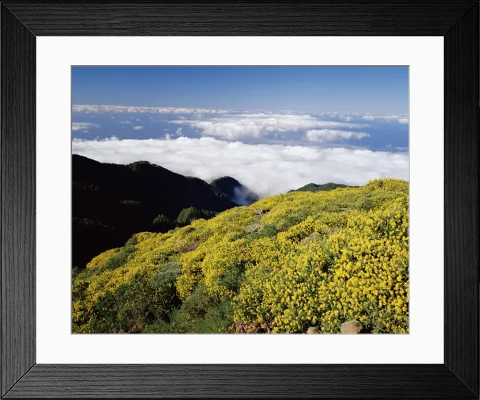 Framed Print : Landscape and clouds near Roque de los Muchachos Framed Print : Landscape and clouds near Roque de los Muchachos