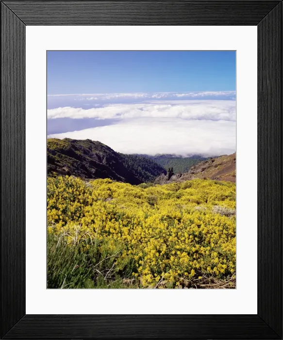 Framed Print : Landscape near Roque de los Muchachos Framed Print : Landscape near Roque de los Muchachos