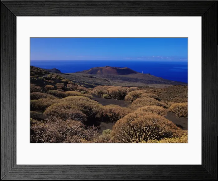 Framed Print : Plants and a volcano cone viewed from La Dehesa Framed Print : Plants and a volcano cone viewed from La Dehesa