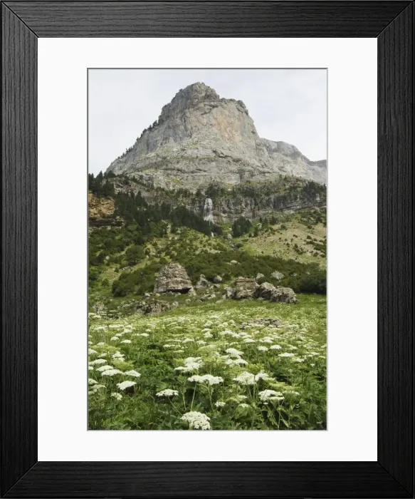 Framed Print : Waterfall and summer flowers in the Canon de Anisclo (Anisclo Canyon) Framed Print : Waterfall and summer flowers in the Canon de Anisclo (Anisclo Canyon)