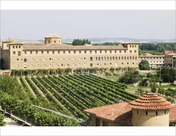 Vineyard and monastery