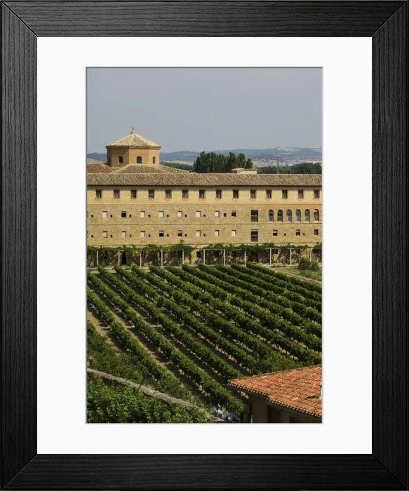 Framed Print : Vineyard and monastery Framed Print : Vineyard and monastery